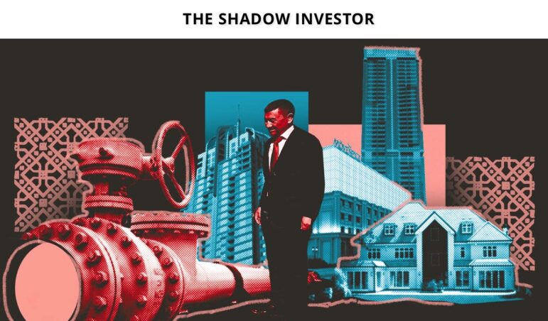 OCCRP investigation The Shadow Investor